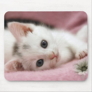 Snow White Mouse Pad