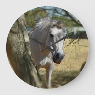 Snow White The Horse, Large Round Wall clock. Large Clock