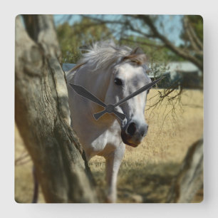 "Snow White: The Majestic Steed" Square Wall Clock