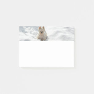 Snow White Westie Dog Photo Note Pad