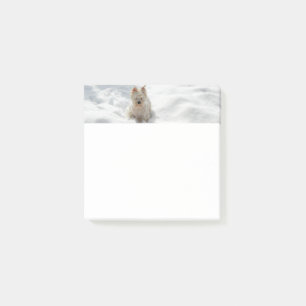 Snow White Westie Dog Photo Post-it Note Pad
