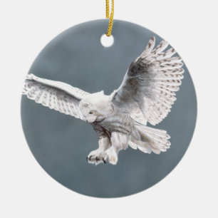 Snow wings ornament