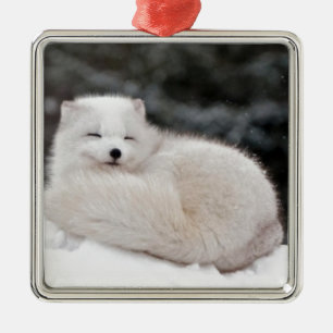 snow winter weather frozen snow ice Arctic Fox Metal Tree Decoration