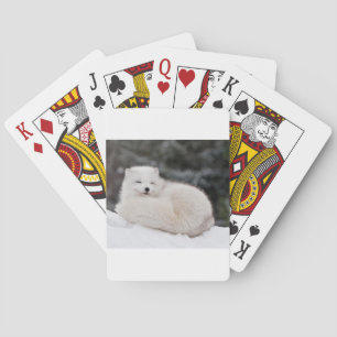 snow winter weather frozen snow ice Arctic Fox Playing Cards