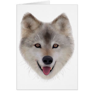 Snow Wolf Sketch