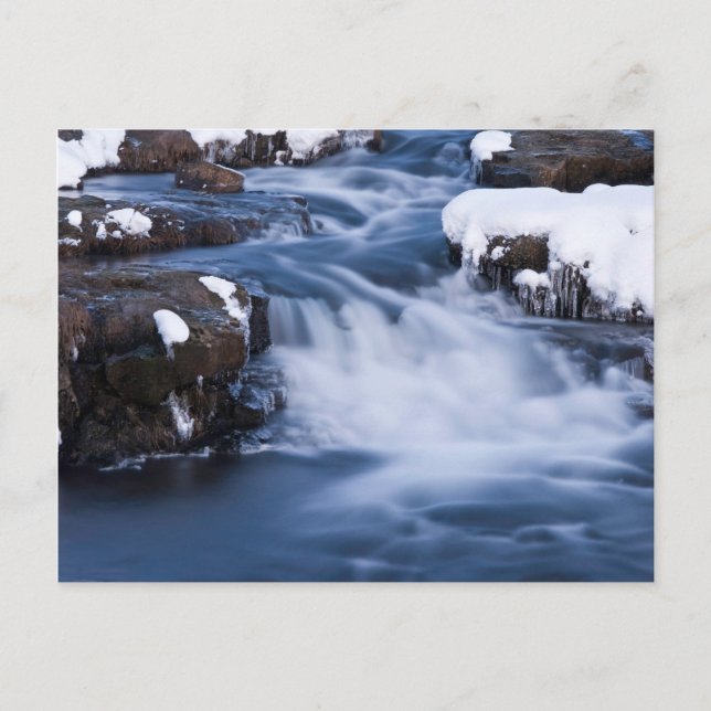 Snow World #3 Postcard (Front)