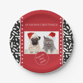 Snow Xmas Stationary and Gifts Paper Plate