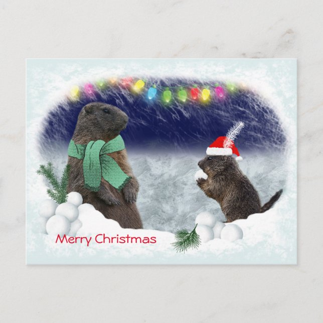 Snowball Fight Postcard (Front)