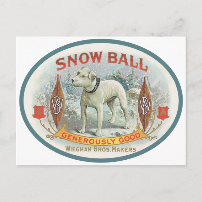 Snowball the Dog Postcard (Front)