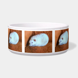 Snowball White Rat Dog Bowl