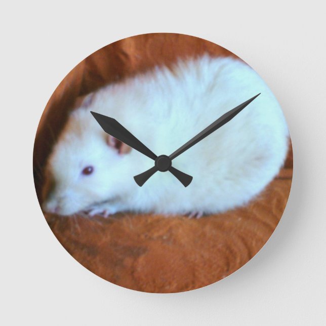 Snowball White Rat Wall Clock (Front)