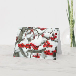Snowberries Greeting Card