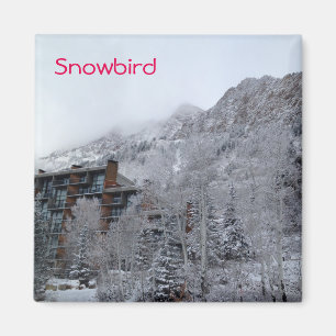 Snowbird Magnet