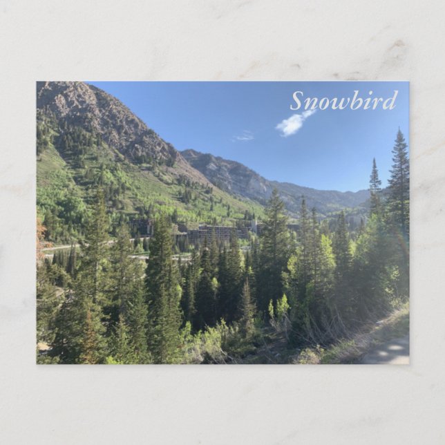 Snowbird - summer postcard (Front)