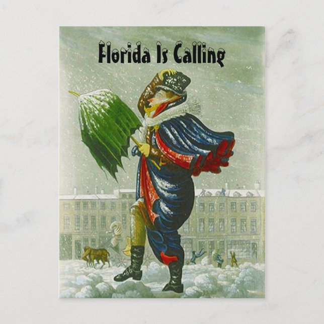 SNOWBIRD'S ANNOUNCEMENT WINTER ADDRESS POSTCARD (Front)