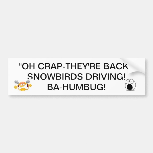 SNOWBIRDS BACK DRIVING THERE GOES THE ROADS BUMPER STICKER (Front)