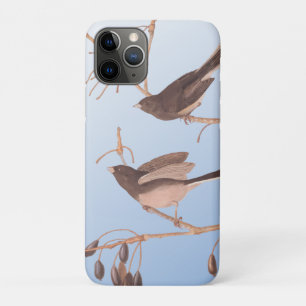 Snowbirds on a Bare Winter Branch iPhone 11 Pro Case