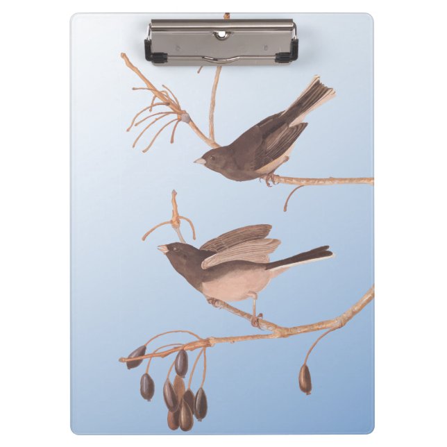 Snowbirds on a Bare Winter Branch Clipboard (Front)