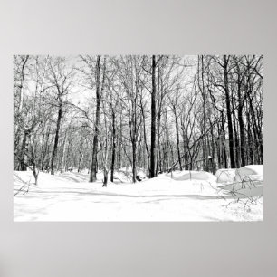 Snowblind Poster