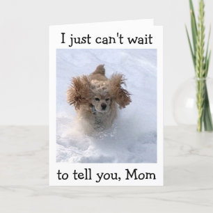 **SNOWBOUND COMEDIC DOG** FOR MOM'S BIRTHDAY CARD