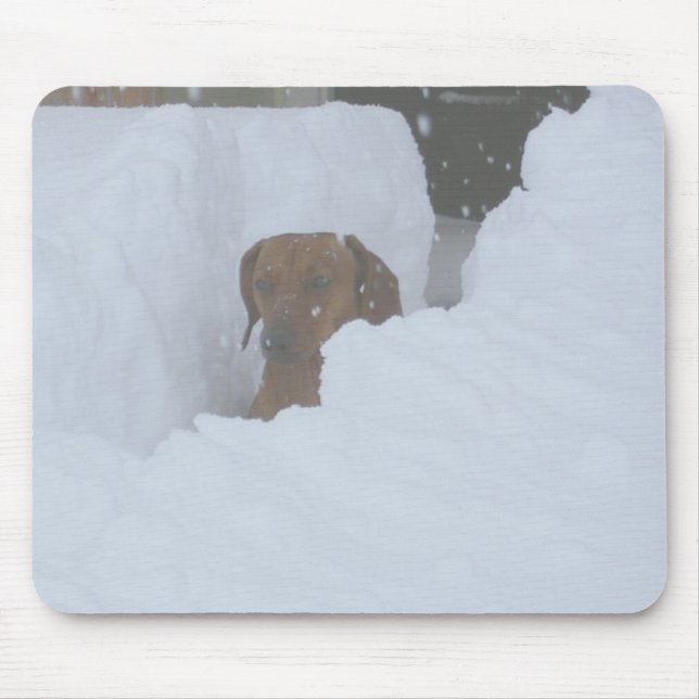 Snowbound Mouse Pad (Front)