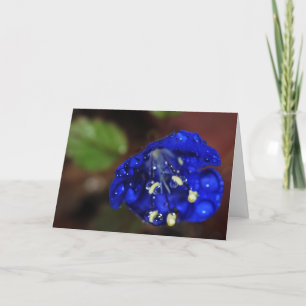 Snowcatcher Bluebell Birthday Card