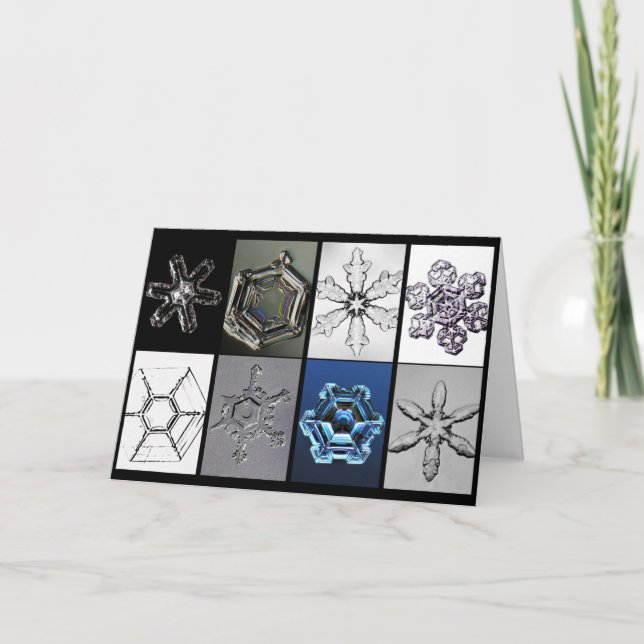 Snowcatcher Snowflakes enhanced Card (Front)