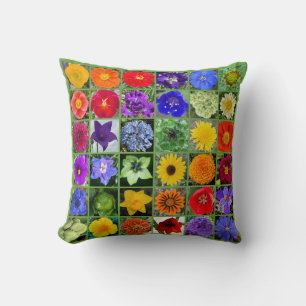 Snowcatcher's Rainbow Garden Cushion