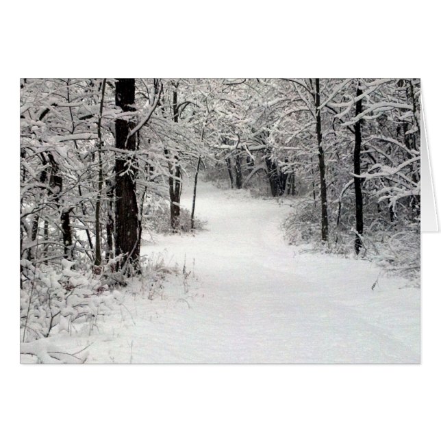 Snowcrusted field in Vermont IL (Front Horizontal)