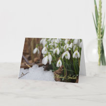 Snowdrop Blessed Imbolc Pagan Wiccan Greeting