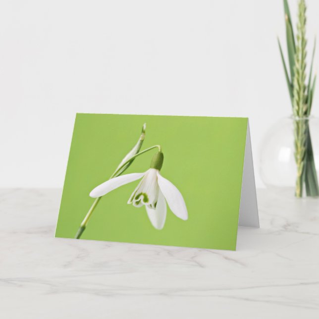 Snowdrop Card (Front)