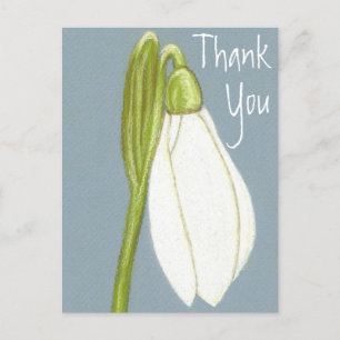 Snowdrop Flower Thank You Postcard