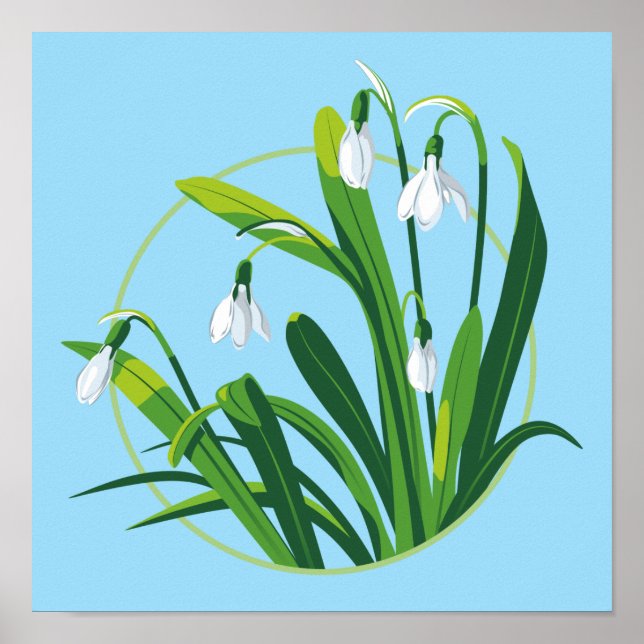 Snowdrop Flowers Poster (Front)