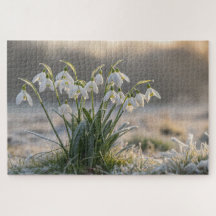 Snowdrop Frost Puzzle - Delicate Winter Nature Art