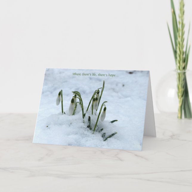 Snowdrop Imbolc Greeting Card (Front)