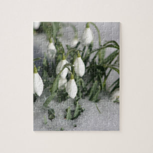 Snowdrop Jigsaw Puzzle