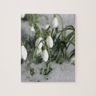 Snowdrop Jigsaw Puzzle