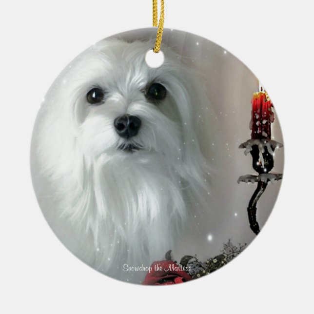 Snowdrop the Maltese Ceramic Tree Decoration (Front)