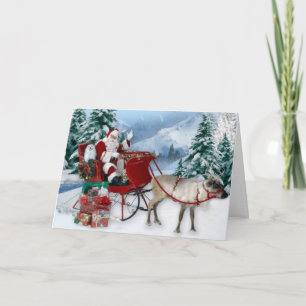 Snowdrop the Maltese Christmas Card