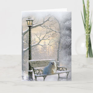 Snowdrop the Maltese Christmas Card