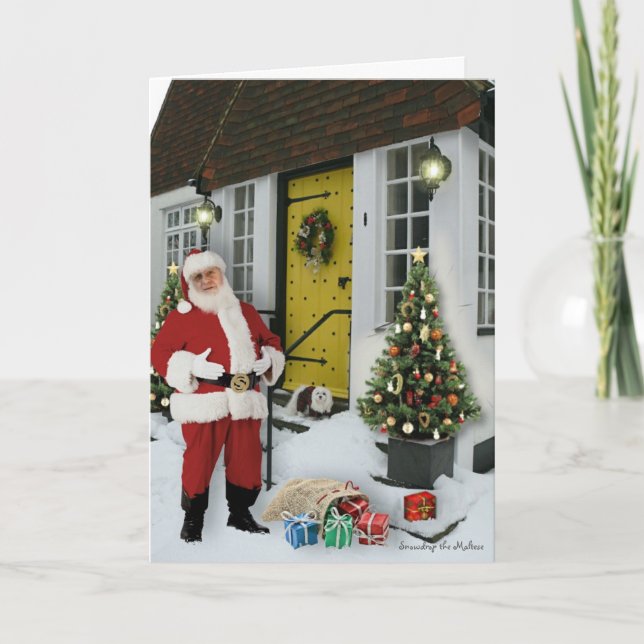 Snowdrop the Maltese Christmas Card (Front)