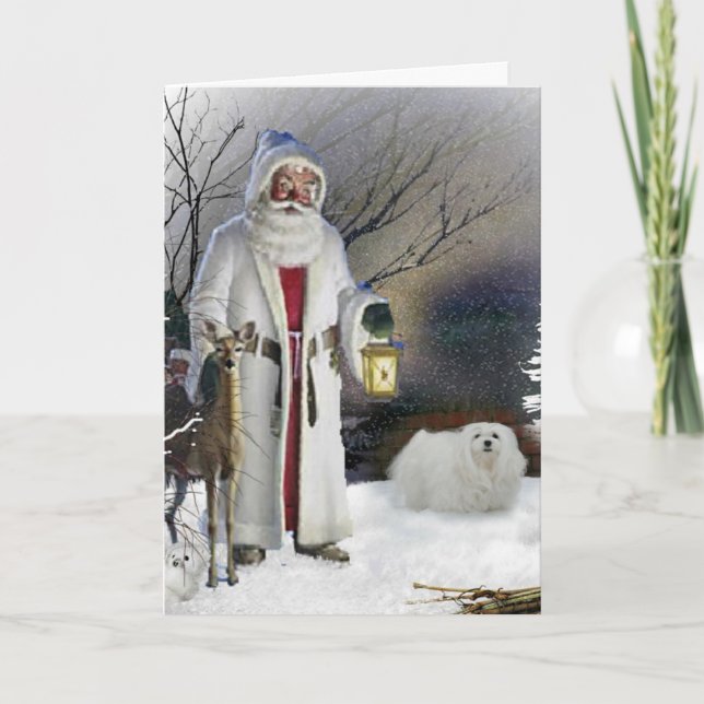 Snowdrop the Maltese Christmas Card (Front)