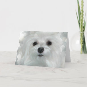 Snowdrop the Maltese Christmas/Greeting Card