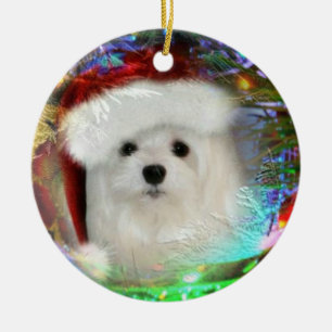 Snowdrop the Maltese Christmas Ornament