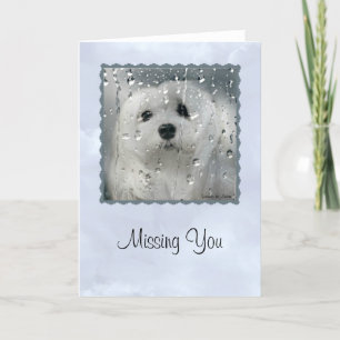 Snowdrop the Maltese Greeting Card