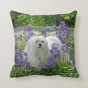 Snowdrop the Maltese Pillow/Cushion Cushion