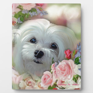 Snowdrop the Maltese Plaque