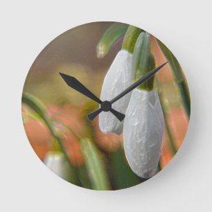 Snowdrop-Wall Clock