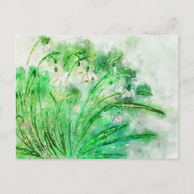 Snowdrop watercolor. Flower watercolor painted. Postcard (Front)