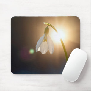 Snowdrop with Dewdrops in Sunlight Mouse Pad